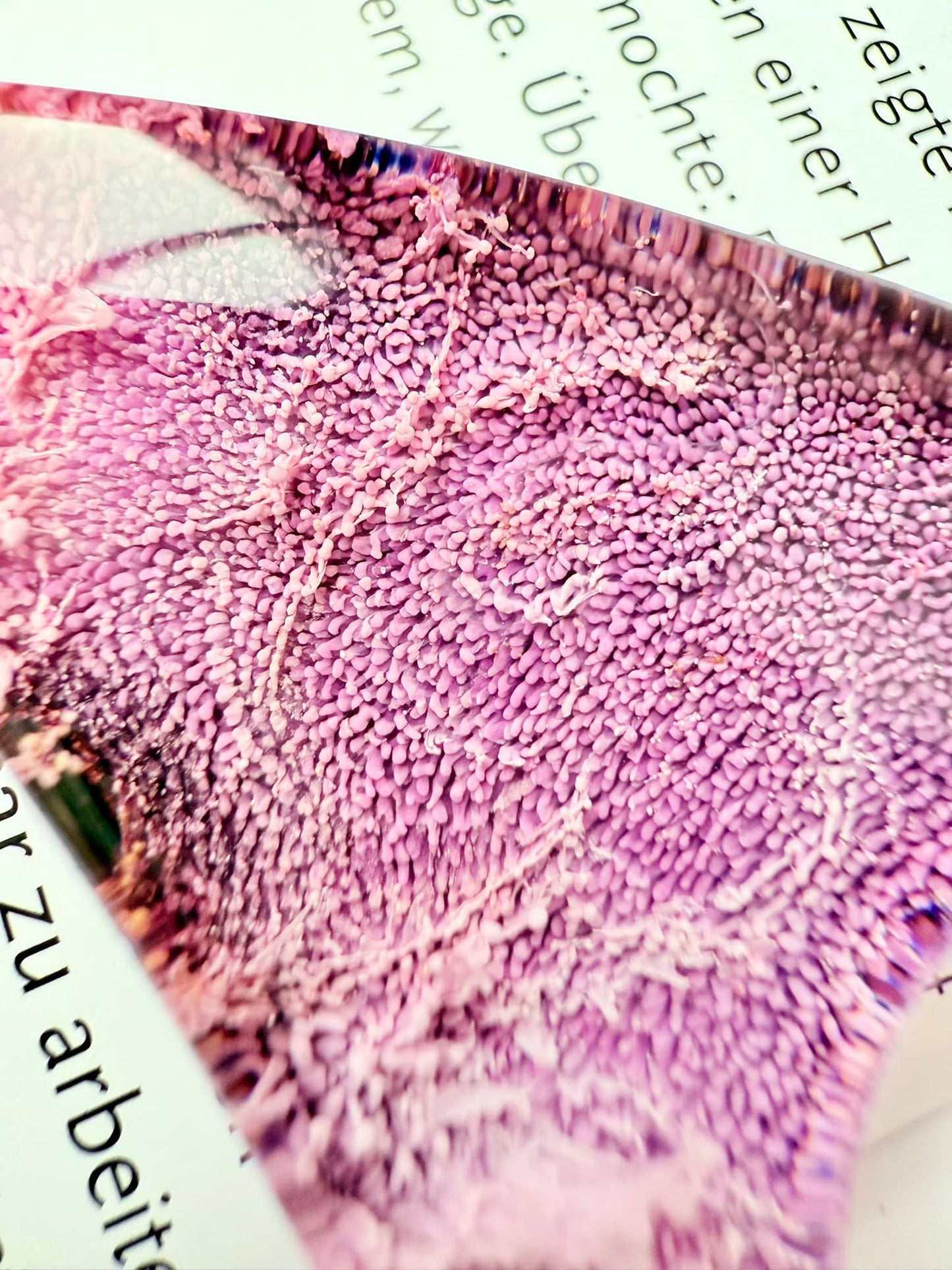 Closeup of handmade page holder with pink and purple hues on a glass slide.